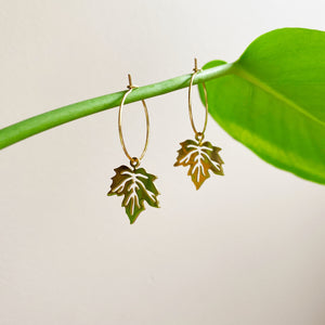 Maple Leaf Hoop Earrings - Gold